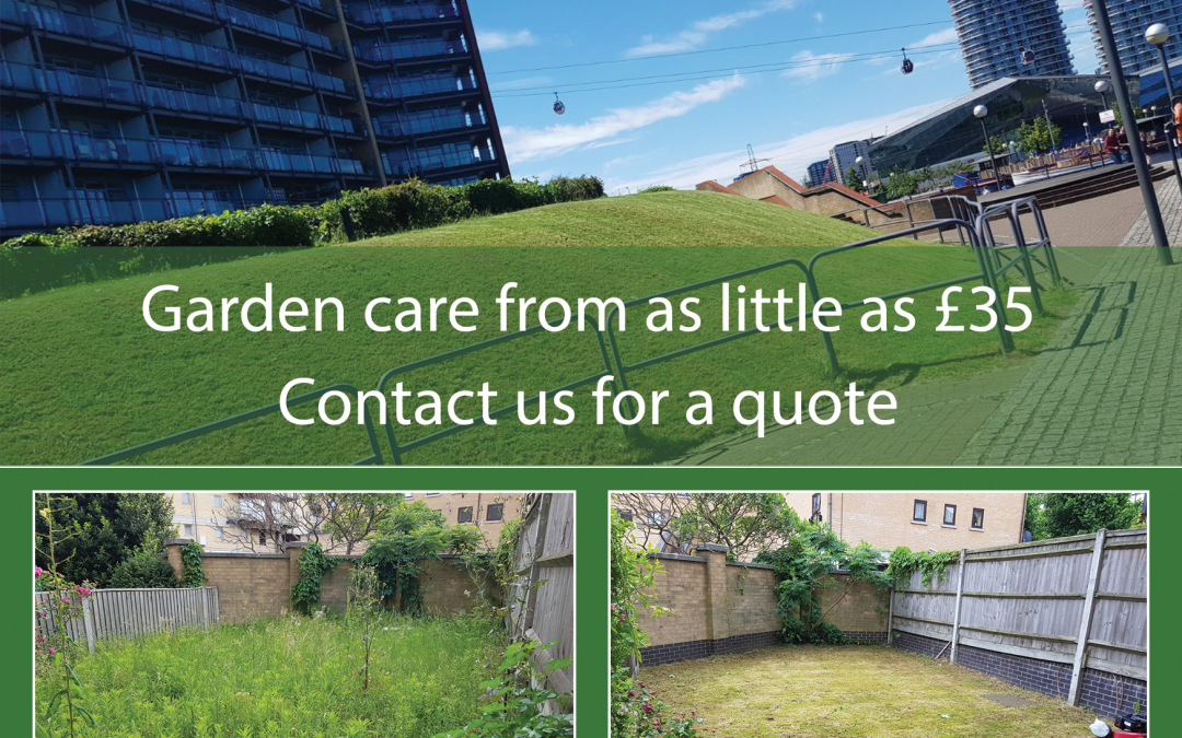 Village Green Flyer Design