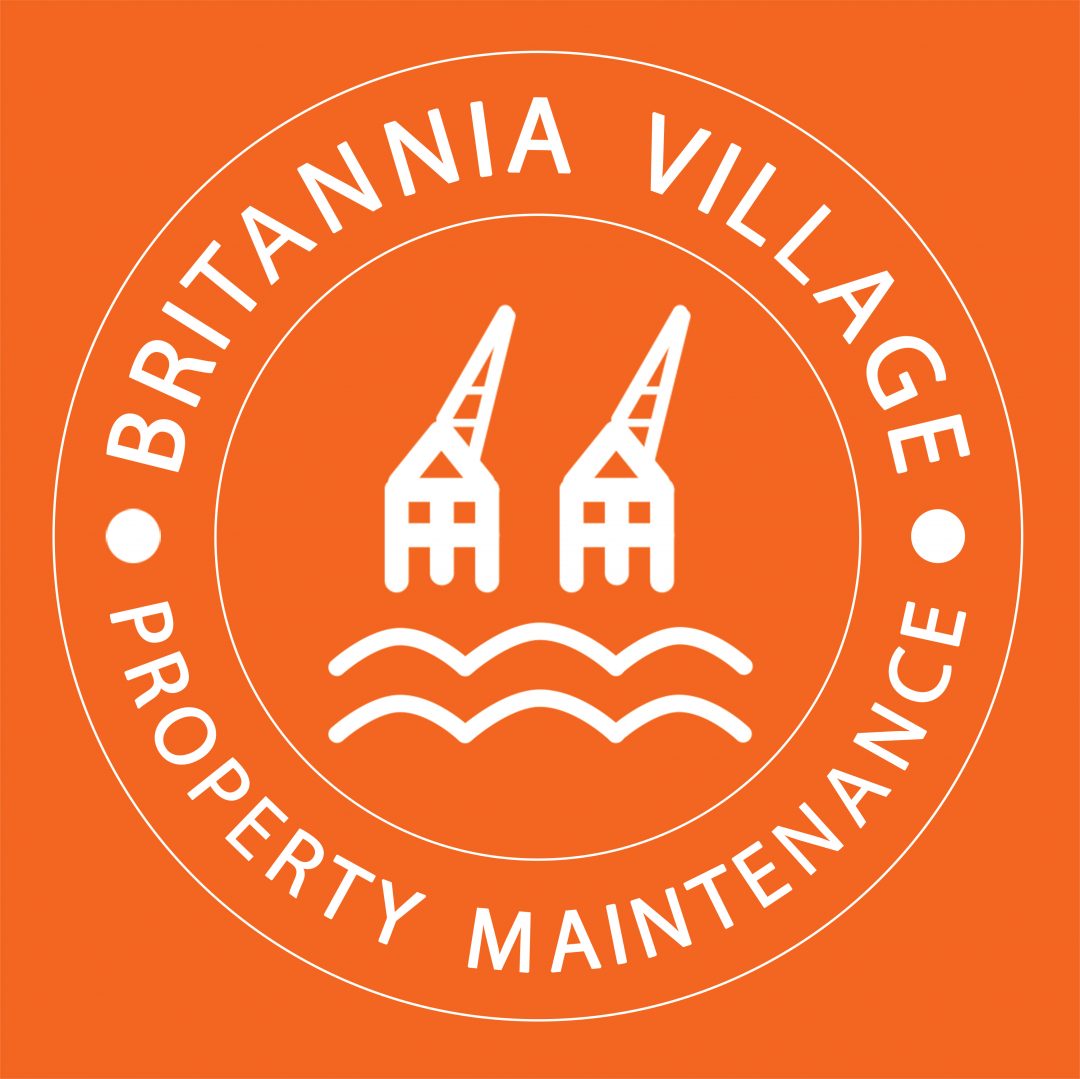 bvpm logo